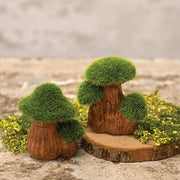 New Growth Moss Ribbon - 3" x 6 Ft