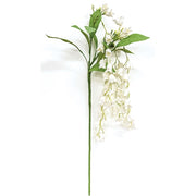 Cream Wisteria Hanging Spray - 36 In