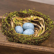 Mossy Early Spring Nest with Eggs
