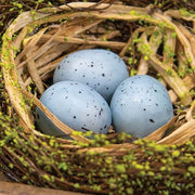 Mossy Early Spring Nest with Eggs