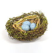Mossy Early Spring Nest with Eggs