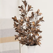Gleaming Bronze Fittonia Spray - 27"