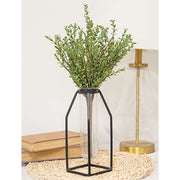 Baby Boxwood Bush - 16"H