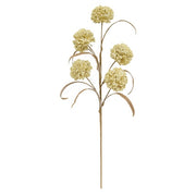 Cream Allium Spray - 24"H
