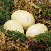 Lush Mossy Birdnest with White Speckled Eggs - 5 In Dia