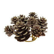 Champagne Frosted Pinecones Candle Ring - 1"