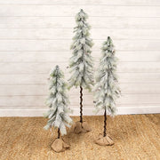 Snowy Bristle Pine & Boughs Tree with Burlap Base - 56"