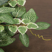 Mixed Ivy & Vine Candle Ring - 6"