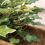 Mixed Ivy & Vine Half Sphere - 13"x6"H