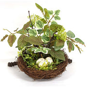 Mixed Ivy & Vine Bird Nest with Eggs on Branch