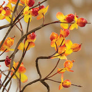 Bittersweet Berry Spray - 18"