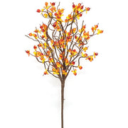 Bittersweet Berry Spray - 18"