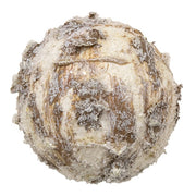 Winter Woods Round Ball Ornament - 3.25"