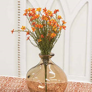 Bittersweet Star Flower Bush - 15.5"H