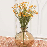 Teastain Star Flower Bush - 15.5"H