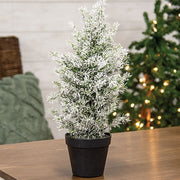 Snowy Juniper Tree in Pot - 19"