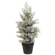 Snowy Juniper Tree in Pot - 19"