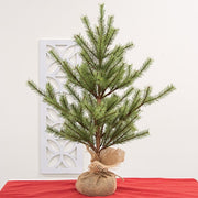 Bristle Country Pine Tree in Burlap Base - 30"