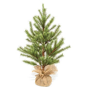 Bristle Country Pine Tree in Burlap Base - 30"