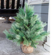 River Valley Mixed Pine Tree with Burlap Base - 28"