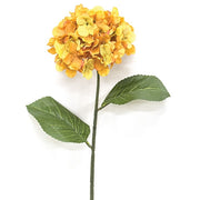 Golden Hydrangea Stem - 28"