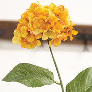 Golden Hydrangea Stem - 28"