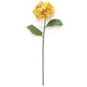 Golden Hydrangea Stem - 28"
