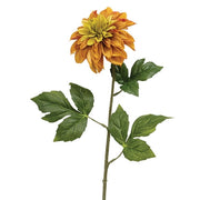 Golden Dahlia Stem - 24"