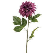 Plum Dahlia Stem - 24"