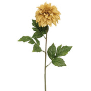 Teastain Dahlia Stem - 24"
