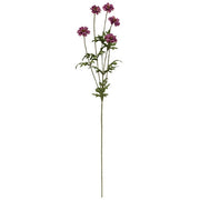 Plum Marigold Spray - 29.75"