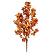 Bittersweet & Canella Berries Spray - 23"