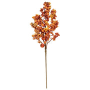 Bittersweet & Canella Berries Spray - 23"