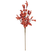 Canella Berries Spray - 25" - Coral
