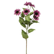 Plum Mini Sunflower Spray - 30"