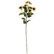 Teastain Mini Sunflower Spray - 30"