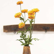 Golden Strawflower Spray - 25"
