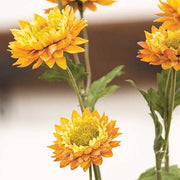 Golden Strawflower Spray - 25"