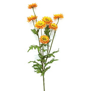 Golden Strawflower Spray - 25"