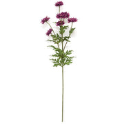 Plum Strawflower Spray - 25"