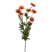 Autumn Leaves Strawflower Spray - 25"