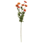 Autumn Leaves Strawflower Spray - 25"