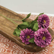 Plum Zinnia Spray - 23.5"
