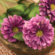 Plum Zinnia Spray - 23.5"