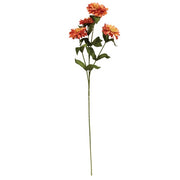 Autumn Leaves Zinnia Spray - 23.5"