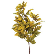 Early Fall Turning Maple Leaf Spray - 36.5"