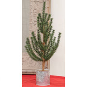 German Pine Tree in Galvanized Metal Pot - 18"