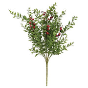Lady Ruscus & Berries Bush - 19"