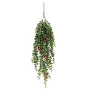 Lady Ruscus & Berries Hanging Bush - 36"