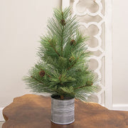 Forest Path Pine Tree in Pail - 18"